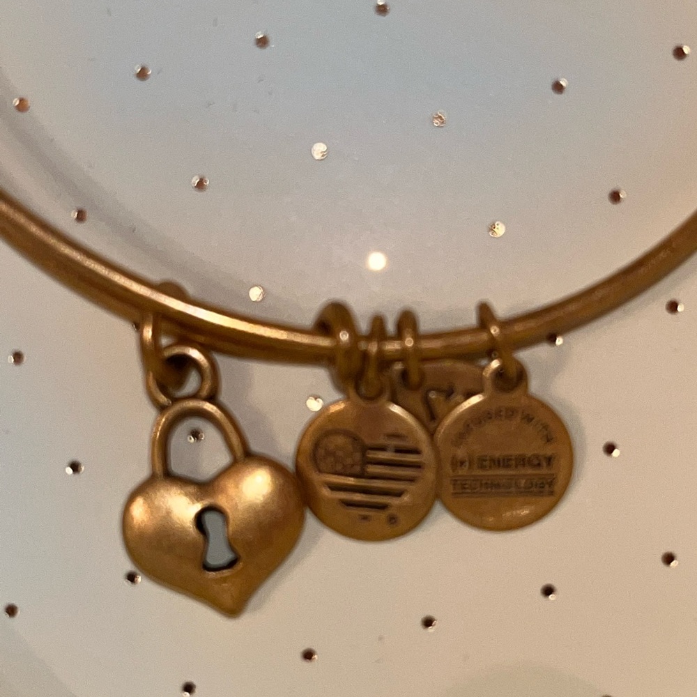 ALEX & ANI Bracelet Set (2 Bracelets) - Picture 6 of 7